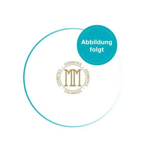 Flyer Mesoporation – 30 Stück